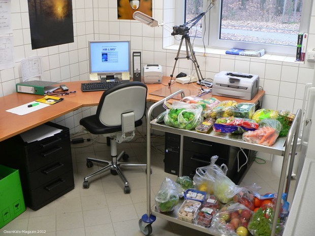 Bild: Urheber Ralf Roletschek