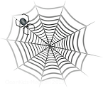netz-spinne