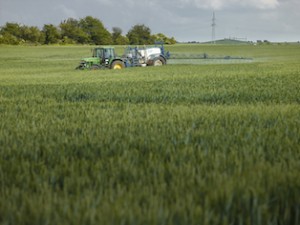 Der Eintrag der Chemikalien in die Gewässer erfolgt zu einem erheblichen Teil durch die Landwirtschaft. Pestizide stellen mit Abstand die stärkste Belastung für die Gewässer dar.  Foto: André Künzelmann, UFZ