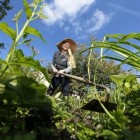 Zecken-Gefahr im Garten  - Bildquelle: André Hirtz / www.zecken.de