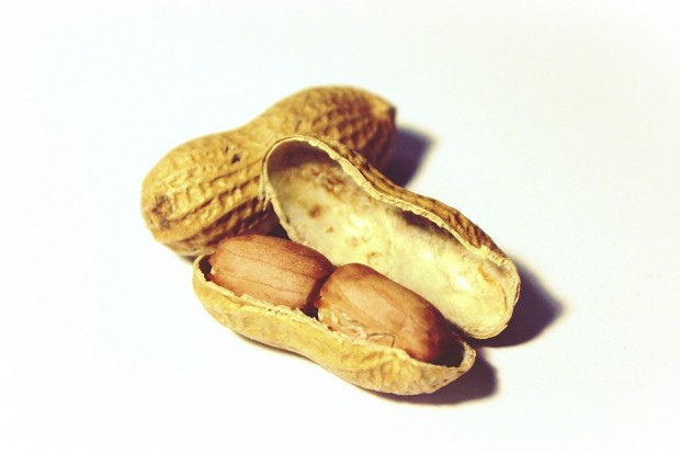 Erdnüsse zählen zu den häufigsten Auslösern einer Lebensmittelallergie, die schon im Kleinkindalter auftreten kann