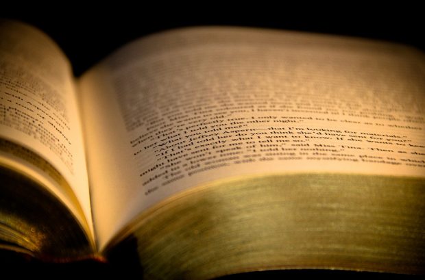 Vorlesende Väter: Nicht nur Kinder profitieren Vorlesende Väter: Nicht nur Kinder profitieren