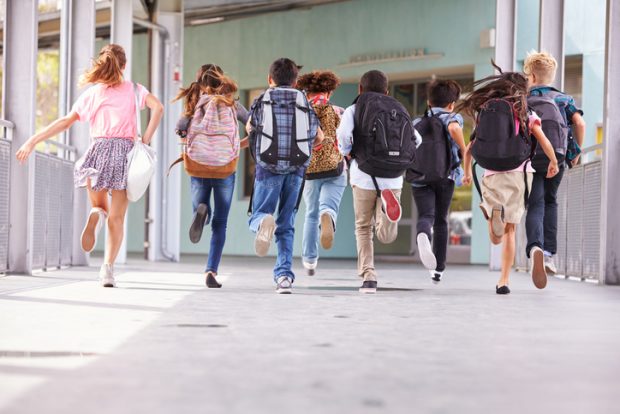 Schultaschen für Kinder gibt es in allen Größen, Formen und mit diversen Ausstattungen 