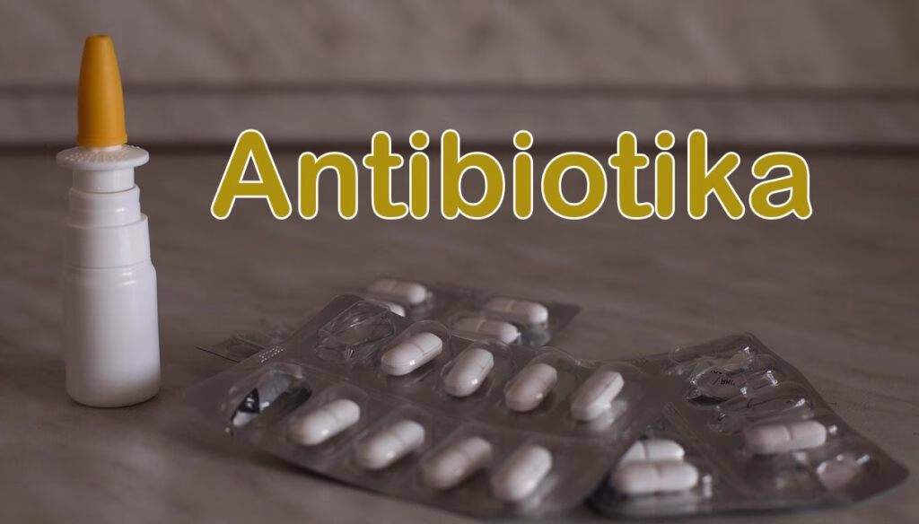Besonders wichtig ist heute der verantwortungsvolle Umgang mit Antibiotika