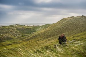Im Naturschutzgebiet an der Nordspitze von Amrum befindet sich eine Vogelwarte, von der aus man der faszinierenden Tierwelt ganz nahe kommt.
