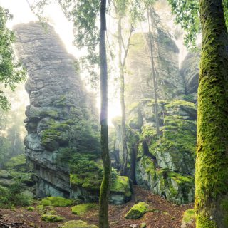 csm_201163.rgb_01e6cd3843