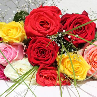 reginawoelk-roses-1721182_1280