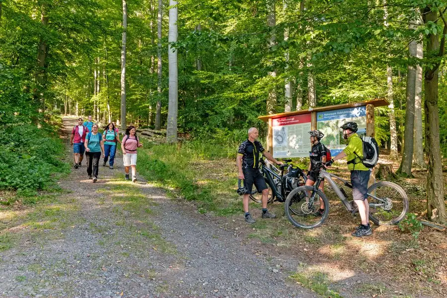 Wanderer und Radfahrer finden im Naturpark Habichtswald zahlreiche Tages- und Mehrtagestouren sowie drei kulinarische Rastplätze. Wanderer und Radfahrer finden im Naturpark Habichtswald zahlreiche Tages- und Mehrtagestouren sowie drei kulinarische Rastplätze.