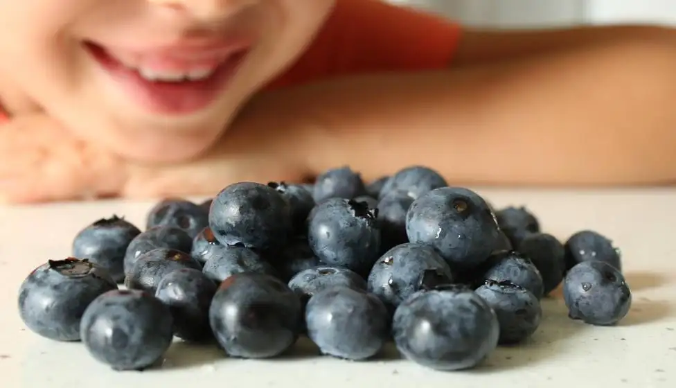 Heidelbeeren enthalten zahlreiche Vitamine Heidelbeeren enthalten zahlreiche Vitamine