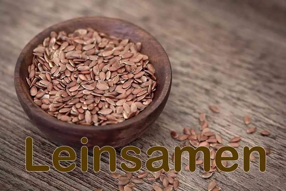 Leinsamen: Kleine Samen mit vielen wertvollen Inhaltsstoffen Leinsamen: Kleine Samen mit vielen wertvollen Inhaltsstoffen