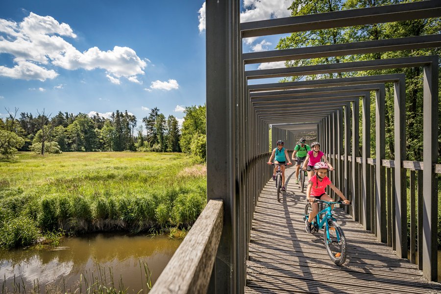 Die Waldnaabaue ist ein familienfreundliches Radelgebiet und bietet mit Walderlebnispfad, Bike- und Kletterparcours auch kindgerechte Attraktionen. Die Waldnaabaue ist ein familienfreundliches Radelgebiet und bietet mit Walderlebnispfad, Bike- und Kletterparcours auch kindgerechte Attraktionen.