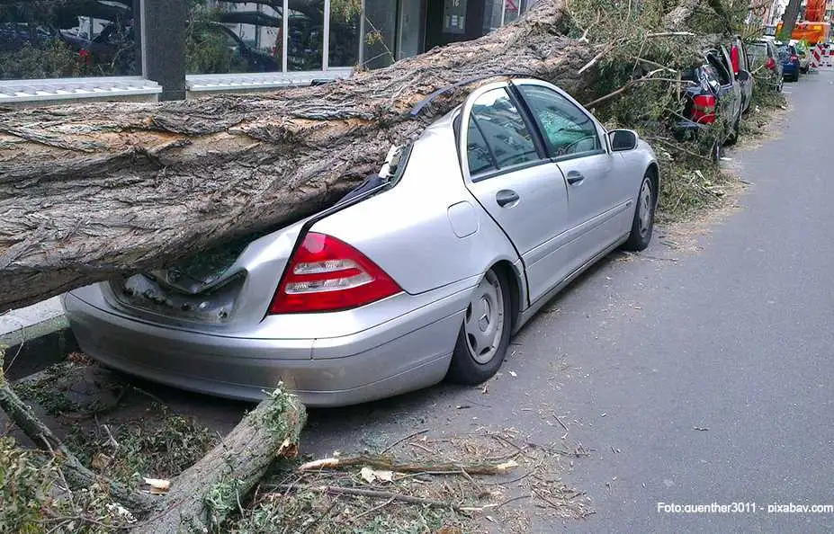 Sturmschaden an einem geparkten Auto Sturmschaden an einem geparkten Auto